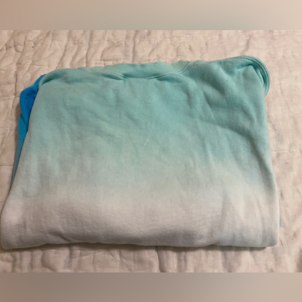 Walt disney world ombre retro sweatshirt L disney parks blues - Picture 7 of 8